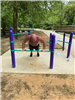 Man Utilizing the Strength and Stretch Bar